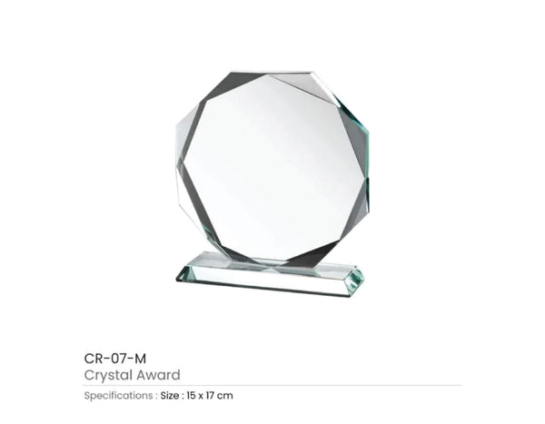 Round Crystal Award - 10 x 12