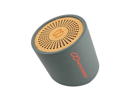 BT Speaker Bamboo & Limestone