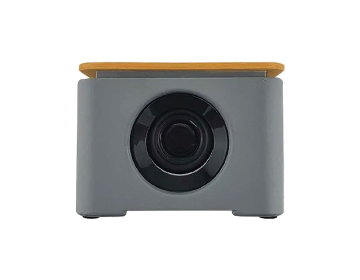 BT Speaker Bamboo & Limestone